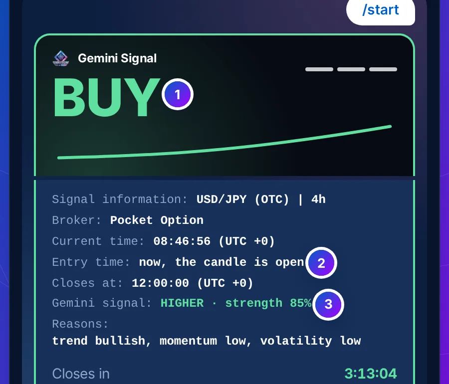 The signal card: a picture with Gemini Signal and a large BUY, then the signal information in a fixed-width block with the entry time and HIGHER