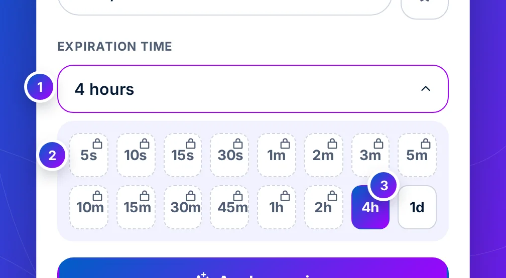 The expiration time picker open, showing sixteen expiries from 5s to 1d, with padlocks on the faster ones and 4h selected